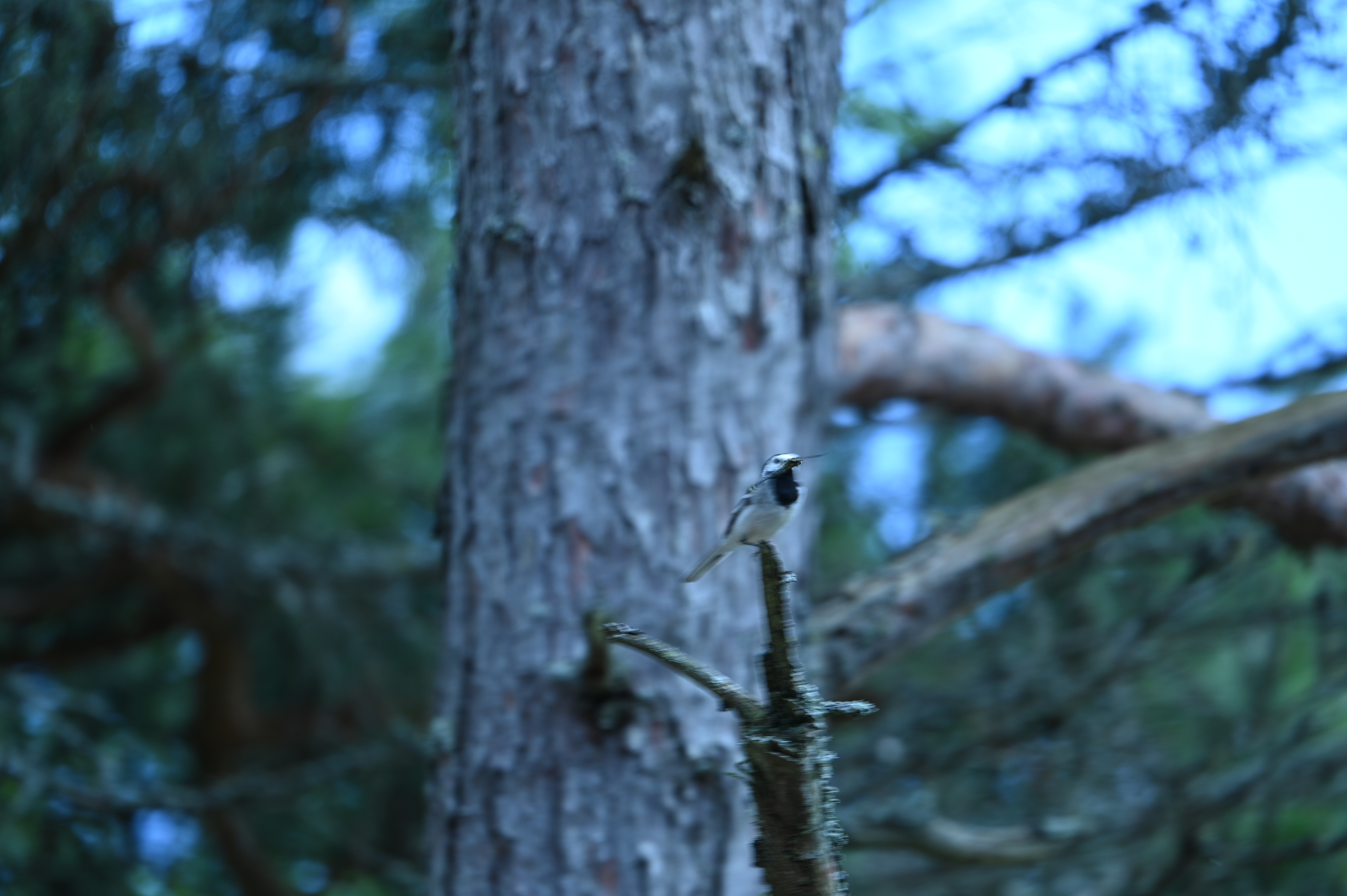 2025/07/09-14 - trip/DSC_0420.JPG